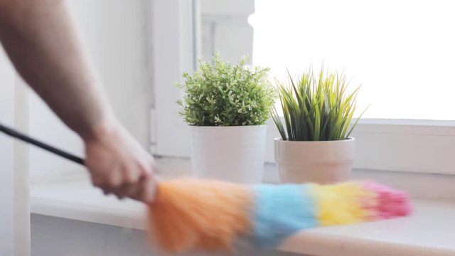 woman with duster cleaning window sill at home