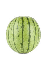 fresh watermelon fruit