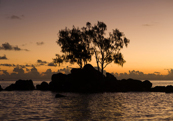 Little rock island with trees at sunrise.