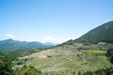 Maruyama rice terrace,mie,tourism of japan