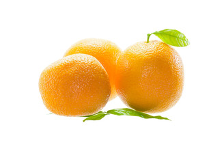  Orange fruit