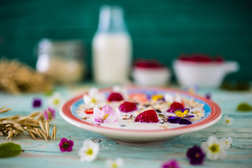 Porridge, Oatmeal with fruits - traditional, healthy breakfast
