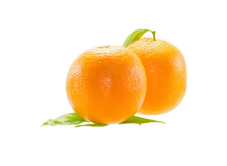  Orange fruit