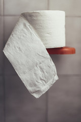 Roll of toilet paper