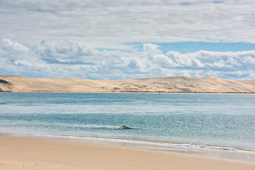 View of The Arcachon Bay, Aquitaine, France