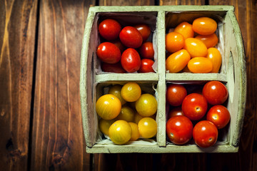 Colorful Cherry Tomato