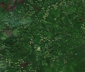 felling (forest) from Landsat satellite. Elements of this image furnished by NASA. - obrazy, fototapety, plakaty