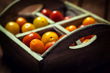Colorful Cherry Tomato