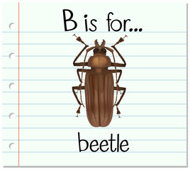 Flashcard letter B is for beetle