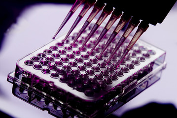 Pipette Sample Test Tube Testing