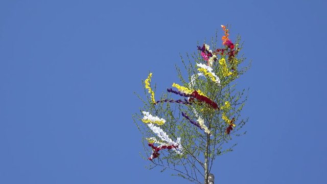 Maibaum mit bunten B&auml;ndern vor blauem Himmel