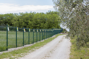 View on a large organic olive grove, surrounded with wire fence, with natural insect traps in plastic bottles