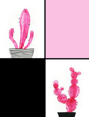Cactus. watercolor illustration