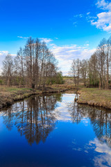 Весенний ручей, синее небо, ольха на берегу