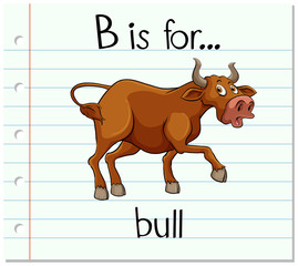 Flashcard letter B is for bull