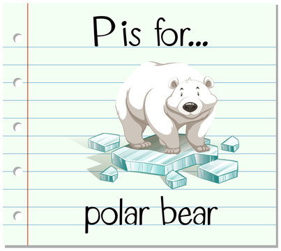 Flashcard letter P is for polar bear