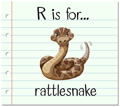 Flashcard letter R is for rattlesnake