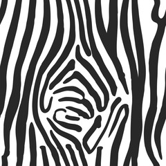 Zebra Print Pattern