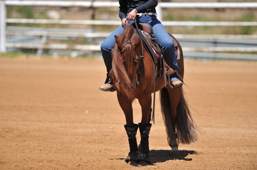 Obraz premium A front view of a rider and horse sliding in the dust.