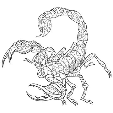 Zentangle stylized cartoon scorpio - zodiac sign in horoscope. Hand drawn sketch for adult antistress coloring page, T-shirt emblem, logo or tattoo with doodle, zentangle, floral design elements.
