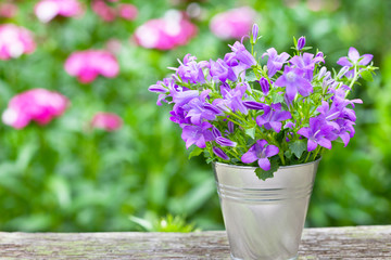 Bouquet of purple flowers in small bucket - horizontal