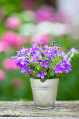 Bouquet of purple flowers in small bucket - vertical