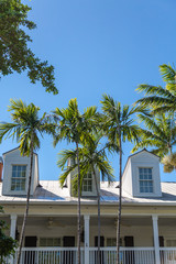 Three Dormers Behind Palm Trees