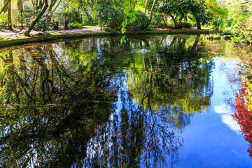 Reflected Trees at London New River Walk