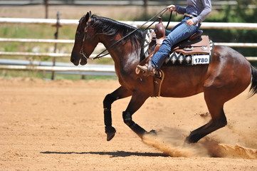 Fragment of the side view of a rider in the chaps on a horseback during the NRHA competition.