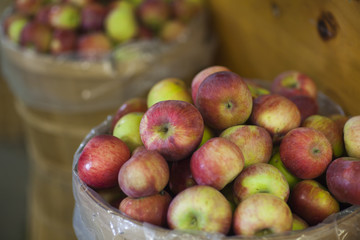 pail of apples