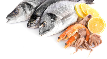 Fresh Mediterranean cocktail of fish on white background, close up