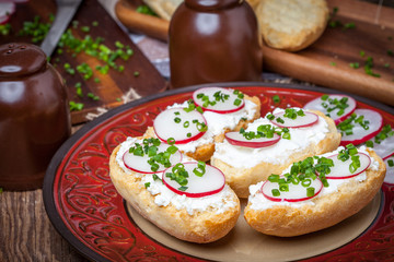 Toasts with radish, chives and cottage cheese.