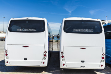 Two white buses parked at the port