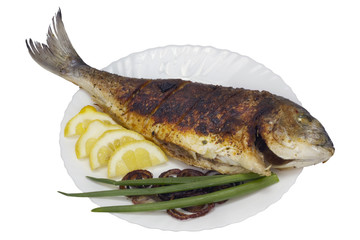 Grilled sea grouper fish