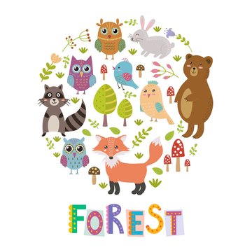 Forest circle shape background with cute fox, owls, bear, birds and raccoon. Vector illustration