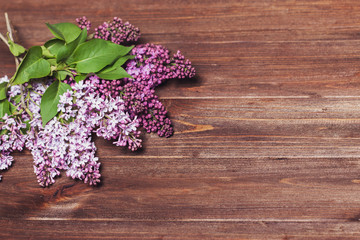 Obraz premium beautiful lilac on a wooden background. Branches of lilac on a dark background. Spring flowers.