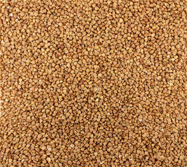 Groats buckwheat grains