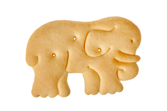 Cracker In Shape Of Elephant