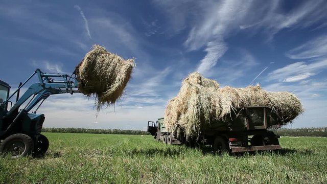 Pressing straw into ricks by baler
