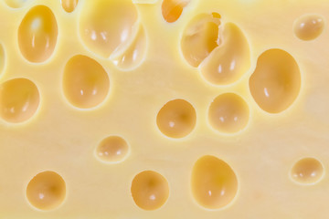 Milk cheese with holes