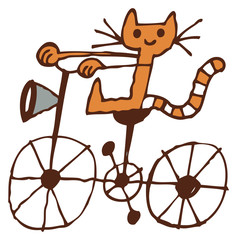 cat riding bicycle