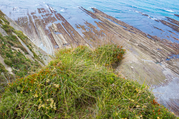 Costa rocosa de Zumaia, Gipuzkoa, País Vasco (España)
