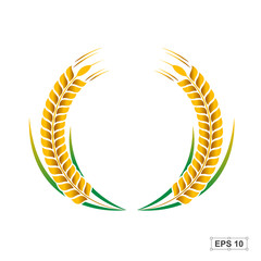 Rice,Vector illustration