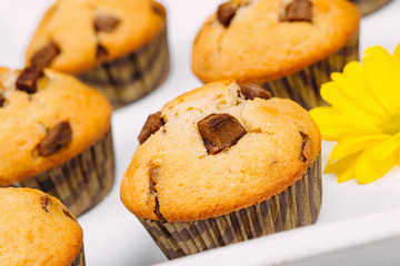 Homemade chocolate chip muffins on a white wooden tray decorated with flowers.
