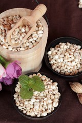 Dried millet seeds for cooking.