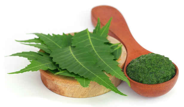 Medicinal neem leaves with ground paste