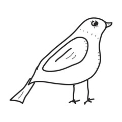 Simple doodle of a bird