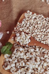 Cooked millet seeds and dried millet seeds.