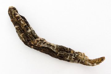 Gammelkarotte - ganze, vertrocknete Karotte