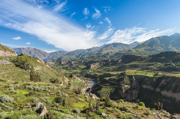 Fototapeta na wymiar Beautiful Natural view from The Colca Canyon, the deepest canyon